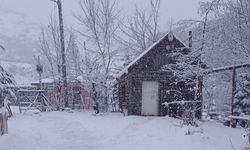 Ordu'nun yüksekleri beyaza büründü
