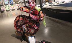 Özel Egeli genç sanatçılardan sürdürülebilirlik temalı sergi