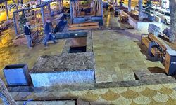 Parkta, büyük saksıdaki ağacı otomobilin bagajına koyup çaldılar