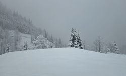 Rize'nin yüksekleri beyaza büründü
