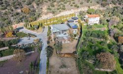 Sadettin Saran'ın villasının bekçisi serbest bırakıldı