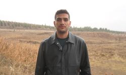 Siirt'te ilk safran üretimi