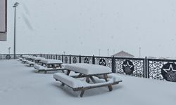 Sivas'ta kar yağışı (3)