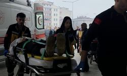 Tarlaya savrulup devrilen otomobildeki 2 kişi yaralandı