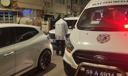 Tartıştığı ağabeyini bıçaklayarak öldürdü