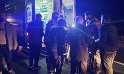 TIR'ın bariyerlere çarptığı kaza kamerada