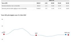TÜİK: Tarımsal girdi fiyatları ekimde arttı