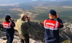 Üreme dönemindeki yaban keçileri, termal kameralı dronla izleniyor