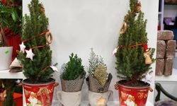 Yeni yıl sepetleri 3 bin liradan, canlı çamlar 1200 liradan alıcı buluyor