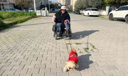 Yürüme yetisi sonrası eşini de kaybetti; can dostu 'Fıstık' ile hayata tutundu