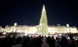 Trafalgar Meydanı'nda Norveç noel ağacı ışıklandırıldı