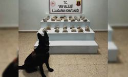 23 ilde uyuşturucu operasyonu: 177 tutuklama