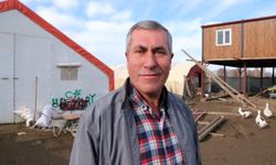 3 asırdır köylerinde kaz yetiştiriyorlar