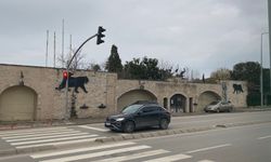 33 yıldır hizmet veren hayvanat bahçesi kapatıldı