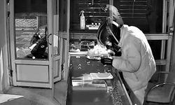 6 kilo altın çalan şüpheli: Kuyumcu dükkanını görünce girmek istedim