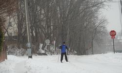 ABD'de kar fırtınası ve aşırı soğuklar nedeniyle hayatını kaybedenlerin sayısı 30'a yükseldi
