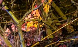 Adana'da devrilen ağacın dalları, seyir halindeki aracın ön camına saplandı