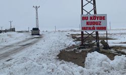 Adilcevaz'da kuduz vakası tespit edilen köy, karantinaya alındı