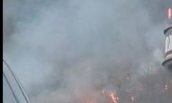 Anız yangınında dumandan etkilenip öldü