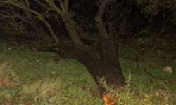 Antalya'da peş peşe hortumlar; seralar yıkıldı, çatılar uçtu / Ek fotoğraflar