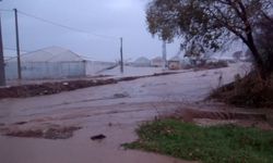 Antalya'da tarım alanlarını su bastı; mahsur kalanlar, iş makinesi ve botlarla kurtarıldı / Ek fotoğraflar