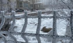 Ardahan buz kesti; dışarı çıkanların kaş ve kirpikleri dondu