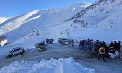 Artvin'de çığ altında kalan çoban aranıyor / Ek fotoğraflar