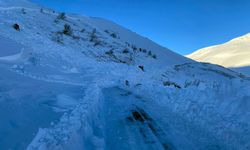 Artvin'de çığ altında kalan çobanı arama çalışmalarına ara verildi