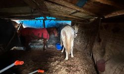 At kestikleri öne sürülen 2 şüpheli, operasyonla yakalandı