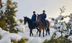 Atlı jandarma birlikleri, kaçak avcılara karşı devriye faaliyeti gerçekleştirdi