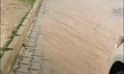 Aydın'da sağanak etkili oldu