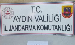 Aydın'ın iki ilçesinde 'Anadolu Mirası' operasyonu; Çok sayıda tarihi eser ele geçirildi