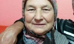 Babaanne ile 2 torununu öldüren sanığa 45 yıl 10 ay hapis cezası