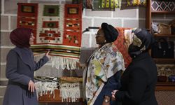 Bakan Göktaş, Nijeryalı mevkidaşı Imaan Sulaıman ile bir araya geldi