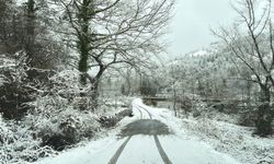 Bartın'da kar yağışı nedeniyle 43 köy yolu ulaşıma kapandı