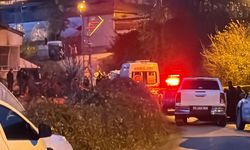 Bartın'da tartıştığı eşini öldürüp, intihar etti