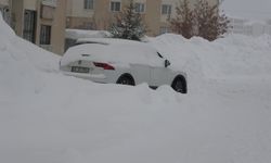 Bitlis'te 104 yerleşim yeri ulaşıma kapandı / Ek fotoğraflar