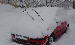 Bitlis'te 111 köy yolu kardan kapandı