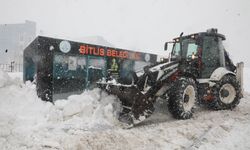 Bitlis'te kardan 51 köy yolu ulaşıma kapandı (2)