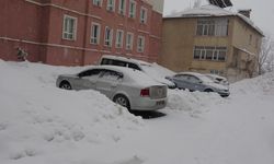 Bitlis'te kardan 51 köy yolu ulaşıma kapandı