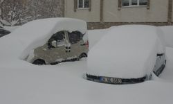Bitlis'te kardan kapanan 197 yerleşim yerinin yolu açıldı