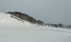 Bolu'da yoğun kar yağışı (3)