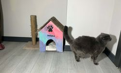 Bu ailede üç kuşaktır atıklar oyuncağa dönüşüyor