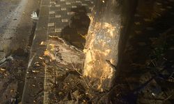 Bursa'da kontrolden çıkan otomobil ağaca çarptı: 2 ağır yaralı