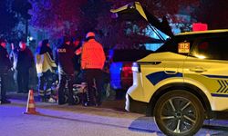 Bursa'da zeytin ağacına çarpan otomobilin sürücüsü yaralandı; kaza anı kamerada