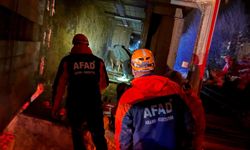 Büyükbaş yüklü TIR şarampole devrildi