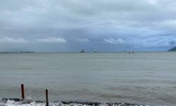 Çanakkale Boğazı'nda denizin rengi kahverengiye döndü