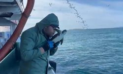 Çanakkale'de balık ağına takılan caretta caretta kurtarıldı