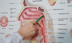 'Çocuklarda tekrarlayan kulak iltihabı veya geçmeyen öksürüklerin sebebi geniz eti olabilir'