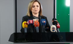 DEM Parti'li Doğan: Türkiye yapıcı bir rol oynamalı